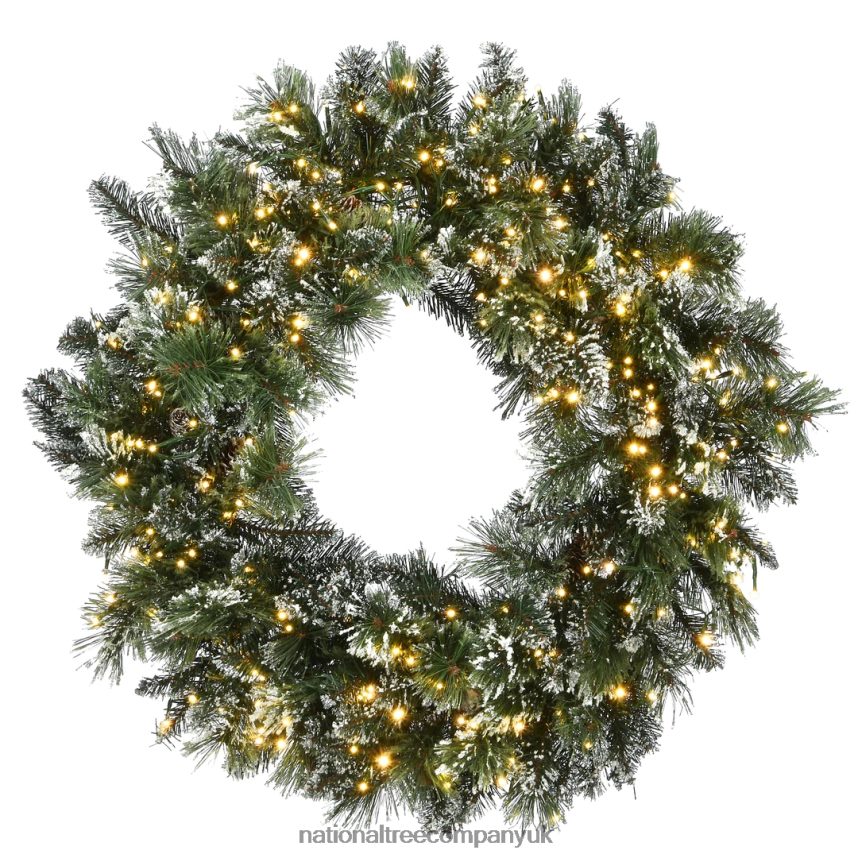 Greenery | National Tree Company 30 Glittery Bristle Pine Wreath with Dual Color LED Cosmic Lights F2L4F262